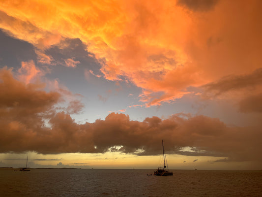 Leaving Toronto for warmer climes